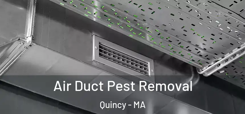 Air Duct Pest Removal Quincy - MA