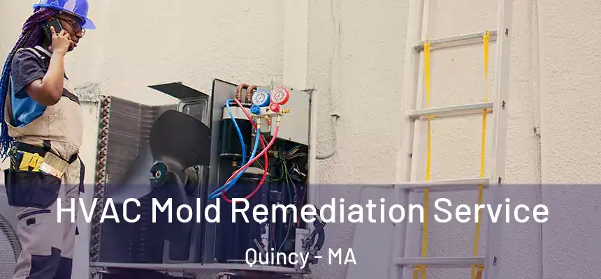 HVAC Mold Remediation Service Quincy - MA