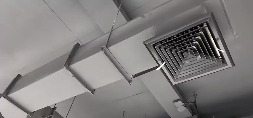 Our Pest Removal From Ducts Services in Quincy, MA