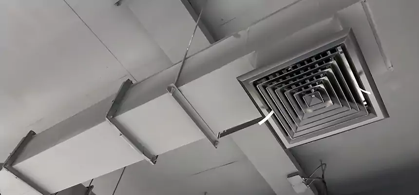 Our Rodent Droppings In Vents Services in Quincy, MA