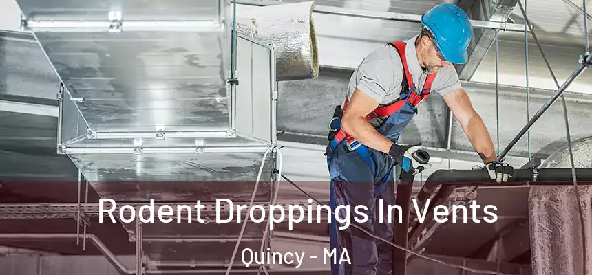  Rodent Droppings In Vents Quincy - MA