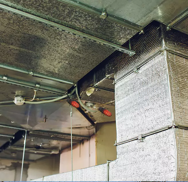 Why Homeowners & Businesses Trust Us in Quincy, MA?