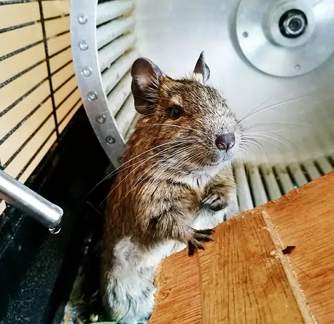 Why Homeowners & Businesses Trust Us Quincy, MA