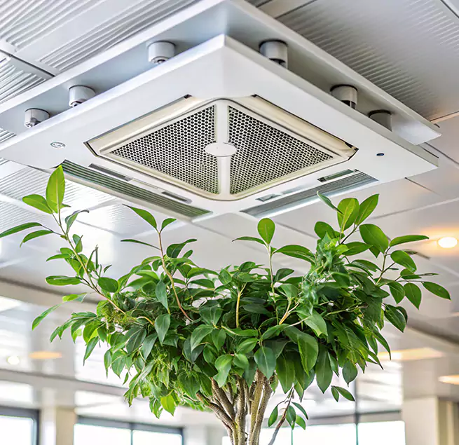 Why Homeowners & Businesses Trust Us in Quincy, MA?